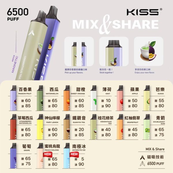 Kis5 凱斯6500口  一次性拋棄式